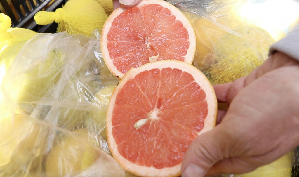 May Is Grapefruit Season in California WestsideToday