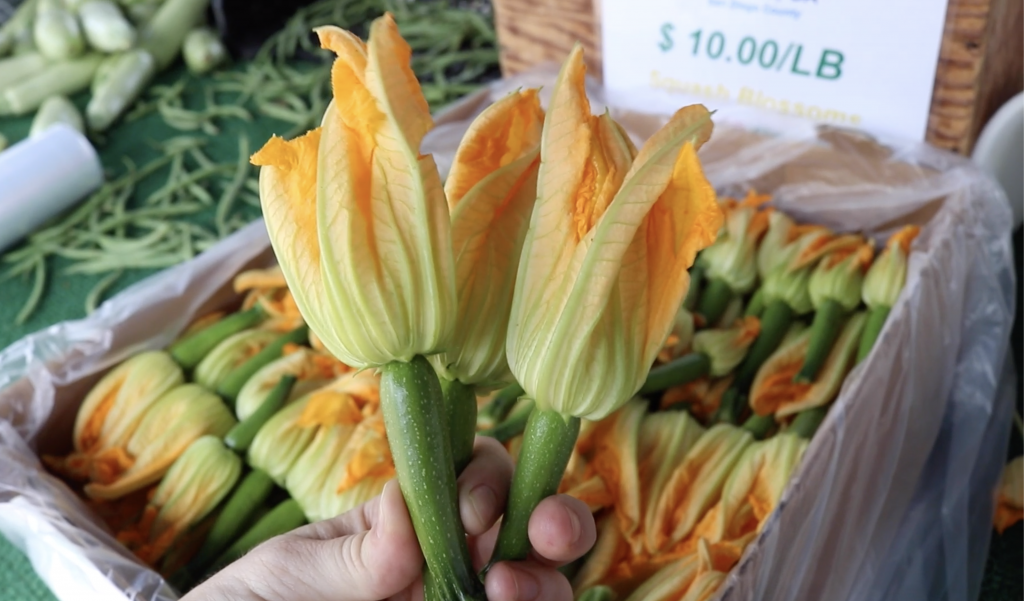 How to Cook Squash Blossoms A Farm to Table Tutorial Market Report