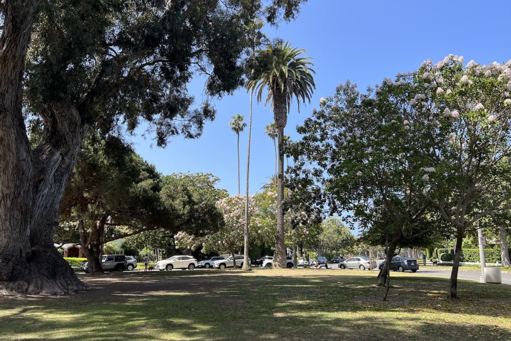 Increasing Park Acreage Could Add Over 150,000 Years to Life Expectancy in LA County - Vimarsana News