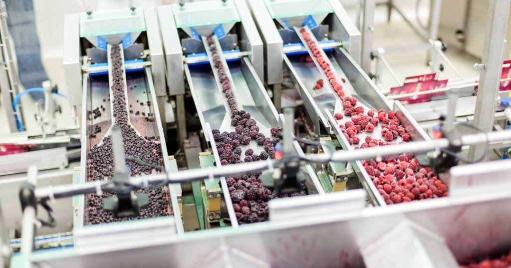 Sunrise Growers Inc. Voluntarily Recalls Frozen Fruit Products Over Listeria Concerns - Vimarsana News