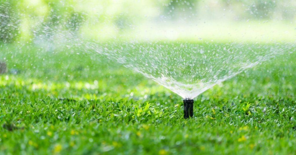 Metropolitan Water District Launches Turf Replacement Program for Sustainable Landscaping - Vimarsana News