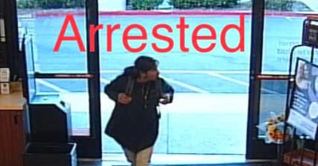 Suspect Apprehended After Series of Burglaries and Carjacking in L.A. - Vimarsana News
