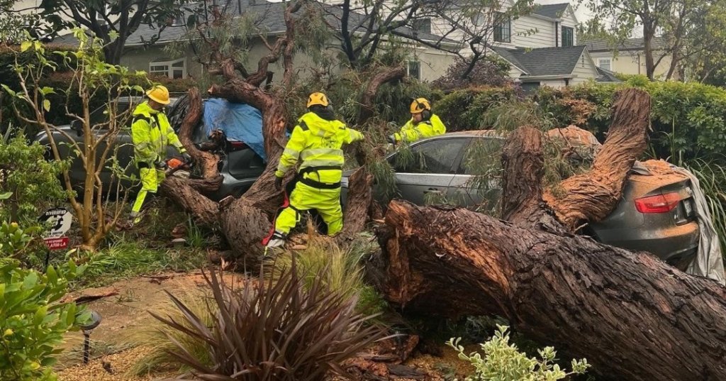 Atmospheric River Update: Thursday Midday and Final Update for Los Angeles, Santa Monica, and Malibu - Vimarsana News